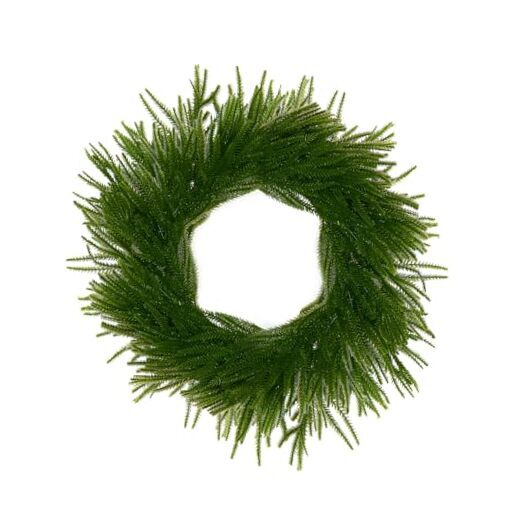 24 Inch Real Touch Norfolk Pine Wreath for Front Door Garland