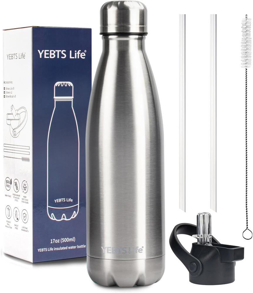 Insulated Water Bottle,17Oz Stainless Steel Water Bottles with Straw Lid,Metal
