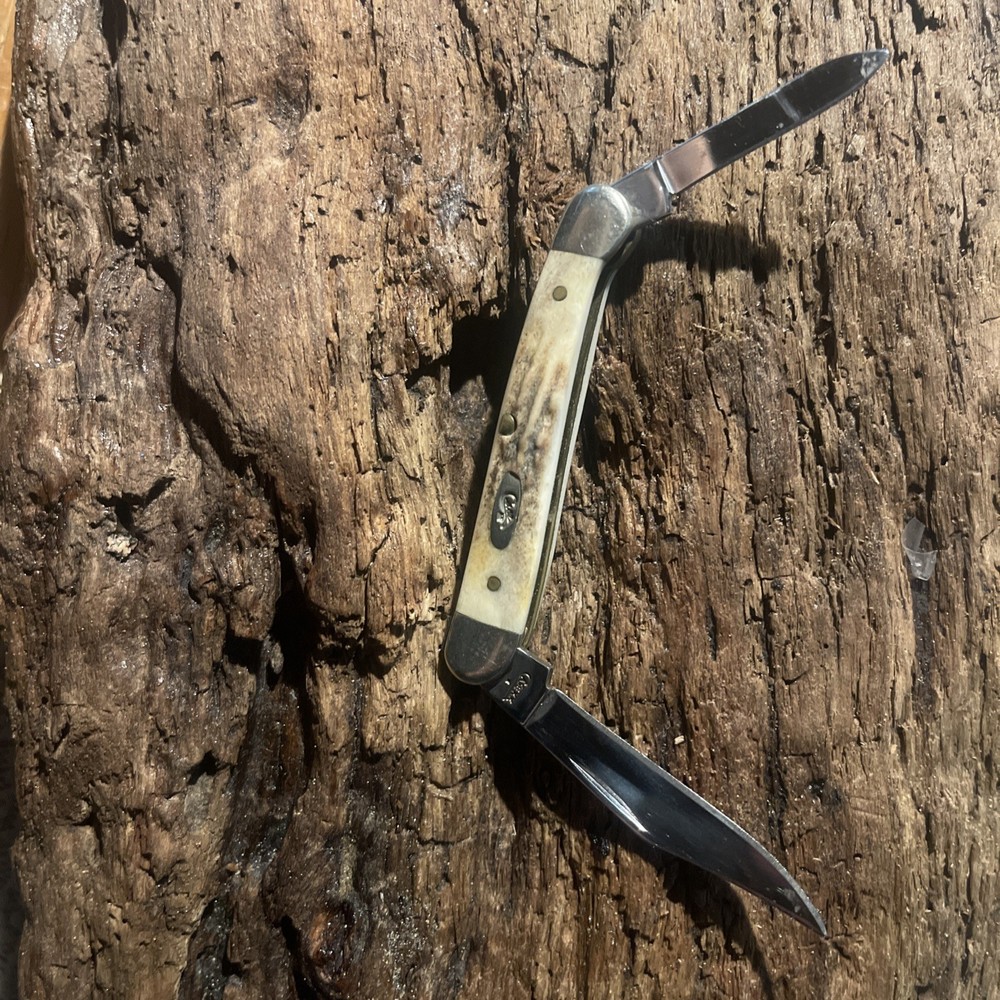 Case XX Mini Copperhead 52109 X SS Stag Handle Folding Pocket Knife