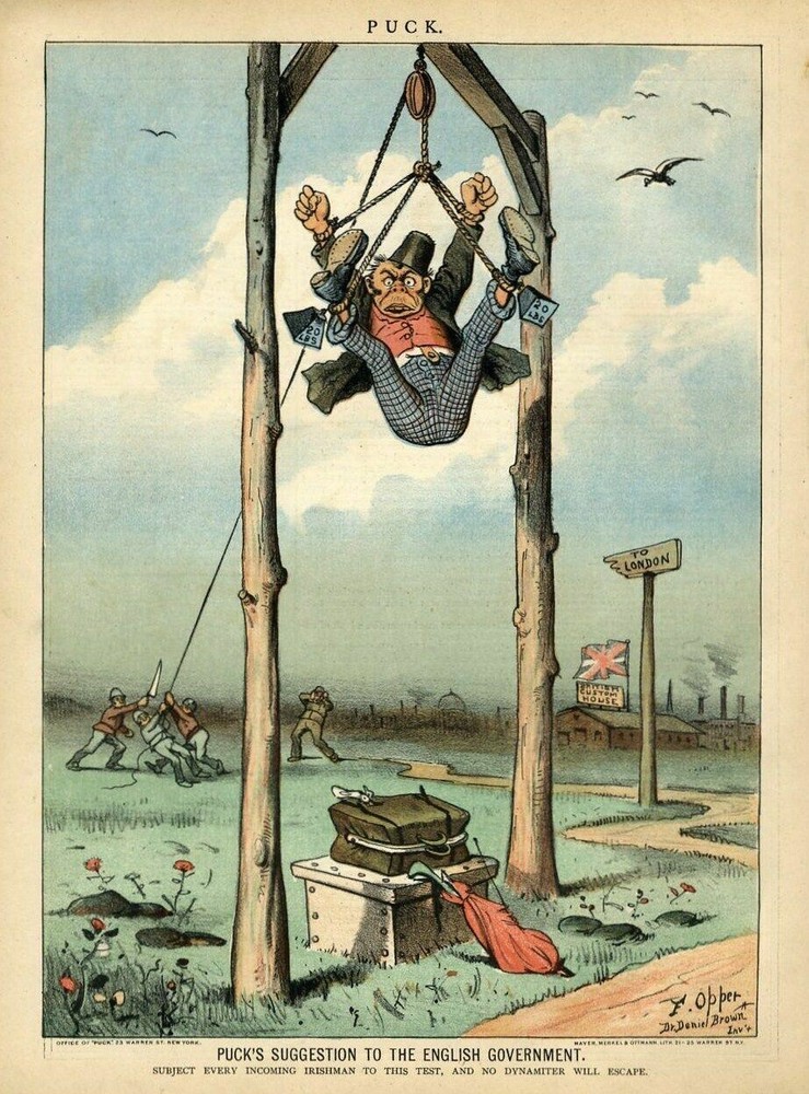 SUGGESTION TO THE ENGLISH GOVERNMENT IRISHMAN TOURIST TEST BRITISH CUSTOM HOUSE