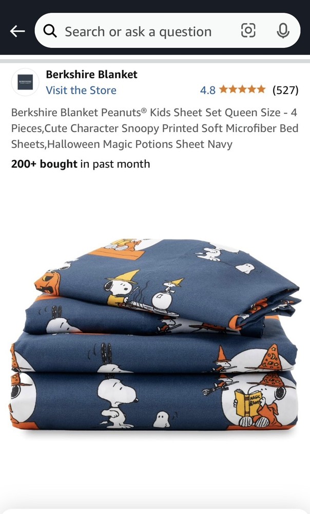 Peanuts Snoopy Queen Sheet Set - 4-Piece Soft Character Bedding