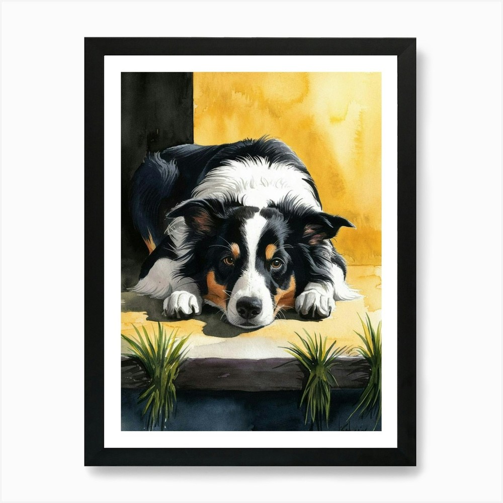 Border Collie Art Print Framed Wall Art Poster Canvas Print Picture