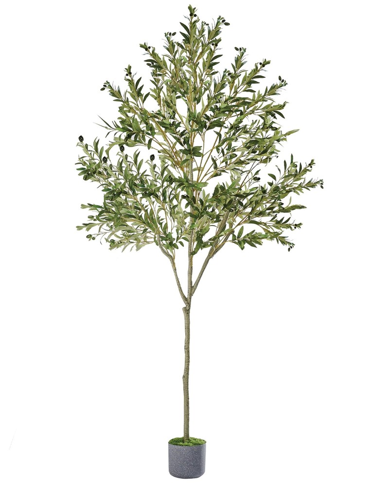 Artificial Olive Tree, 6ft Tall Faux Tree for Indoor with Realistic Olive Tre...