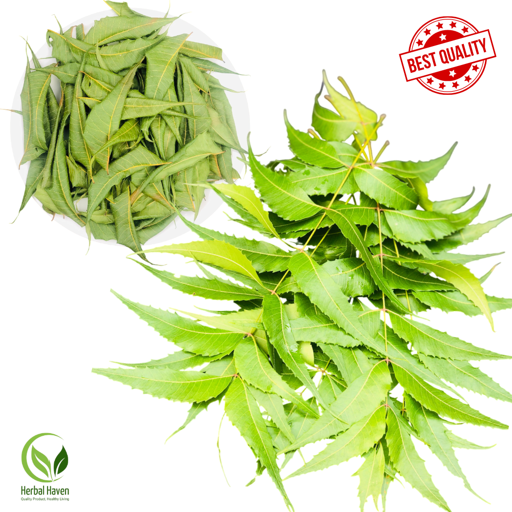 Premium Organic Dried Neem Leaves - 100% Natural & Herbal Azadirachta Indica