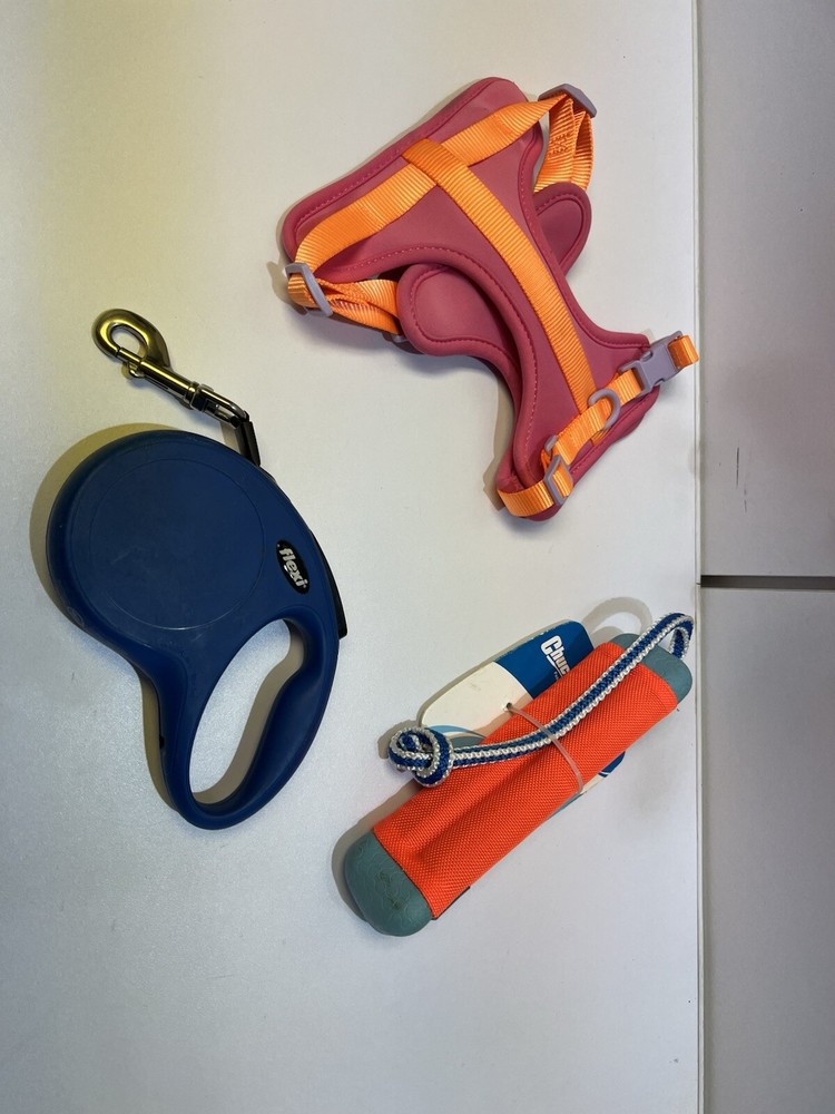 Dog Supplies Chuck It!Fetch Toy, Flexi 16ft Retractable Leash, Designer Harness