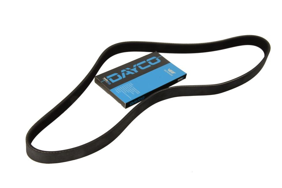 DAY Multi Ribbed Belt for JUMPY I Platform / Podwozie, XSARA, XSARA