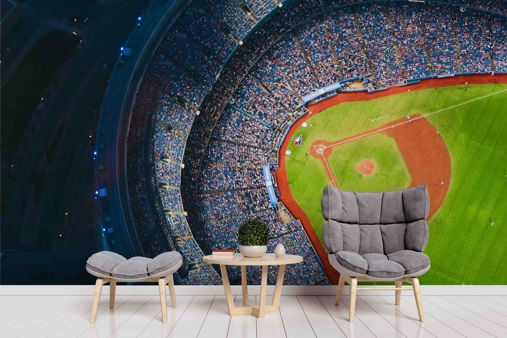 3D Overhead View Stadium Wall Murals Wallpaper Murals Wall Sticker