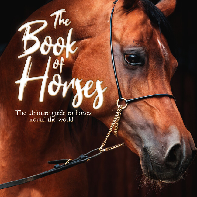 Ultimate Guide to Horses Around the World – Breeds, Care & History