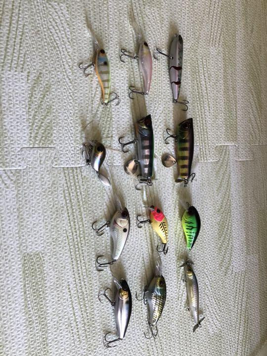 Jackall Premium Fishing Lure for Maximum Catch Success