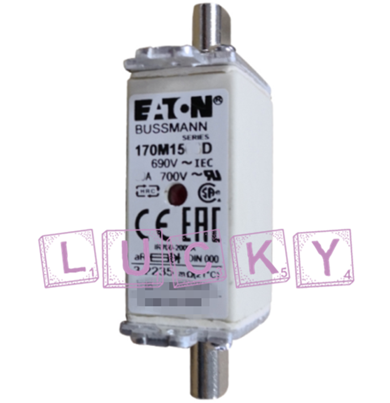 10PCS NEW FOR Bussmann 170M1562D 32A 690V Fuse replacement