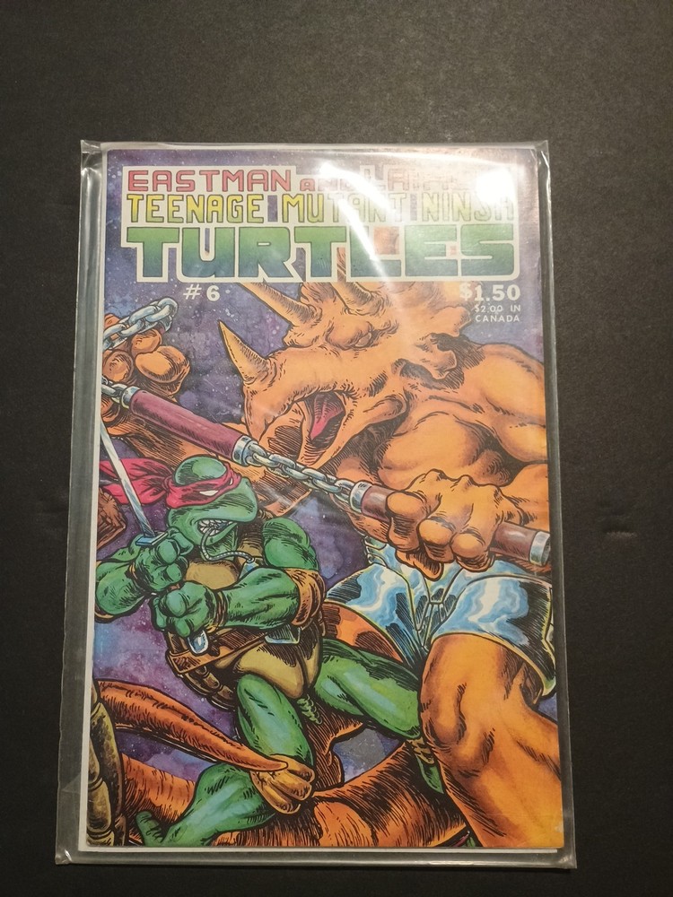 Teenage Mutant Ninja Turtles #6 (Mirage Studios February 1986)