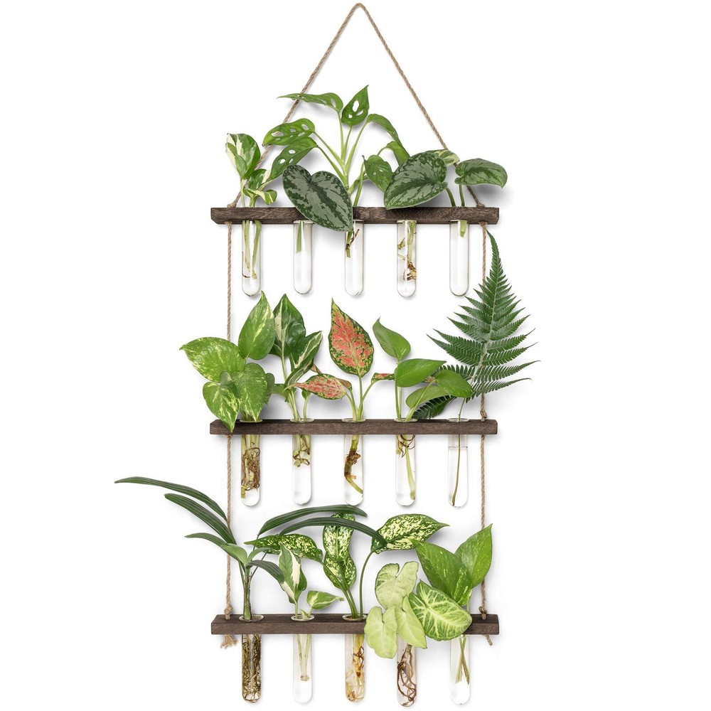 Plant Propagation Tubes 3 Tiered Wall Hanging Terrarium with Wooden Stand Min...