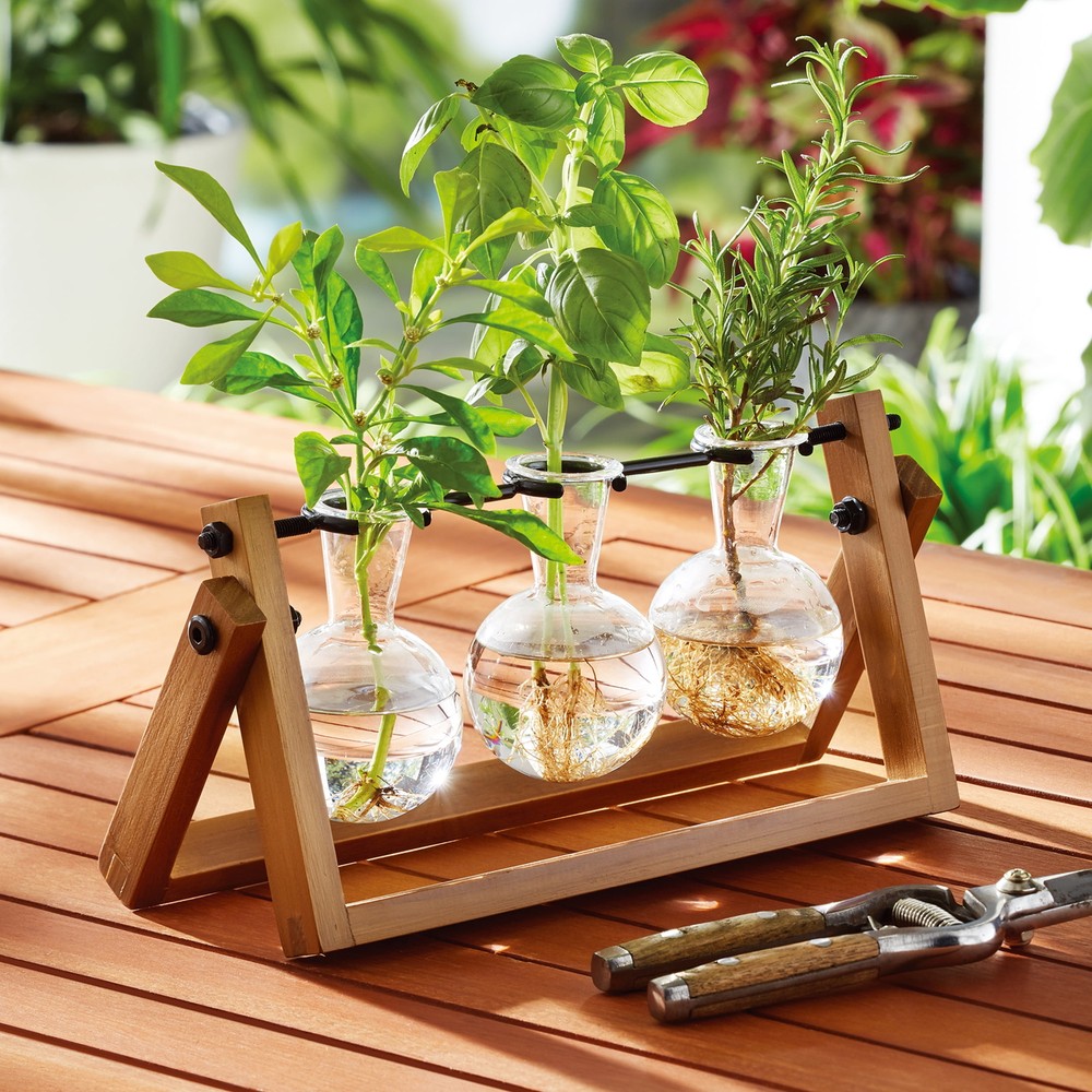 Better Homes & Gardens Glass and Wood Propagation Station Set