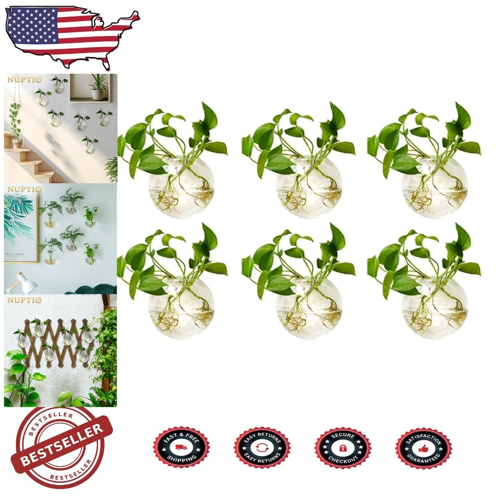 Modern 6-Piece Round Wall-Mounted Vases for Indoor Plant Decor