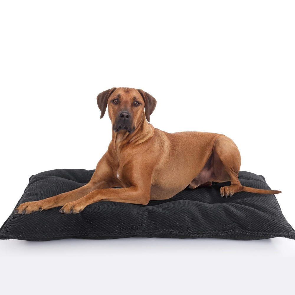 MABOZOO Indestructible Chew Proof Dog Bed for Aggressive Chewers