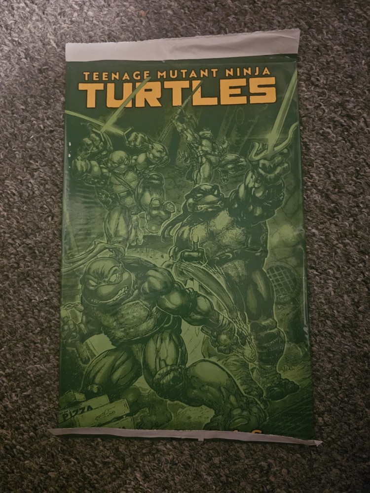 TEENAGE MUTANT NINJA TURTLES #13 BLIND BAG CVR F SEALED NEW