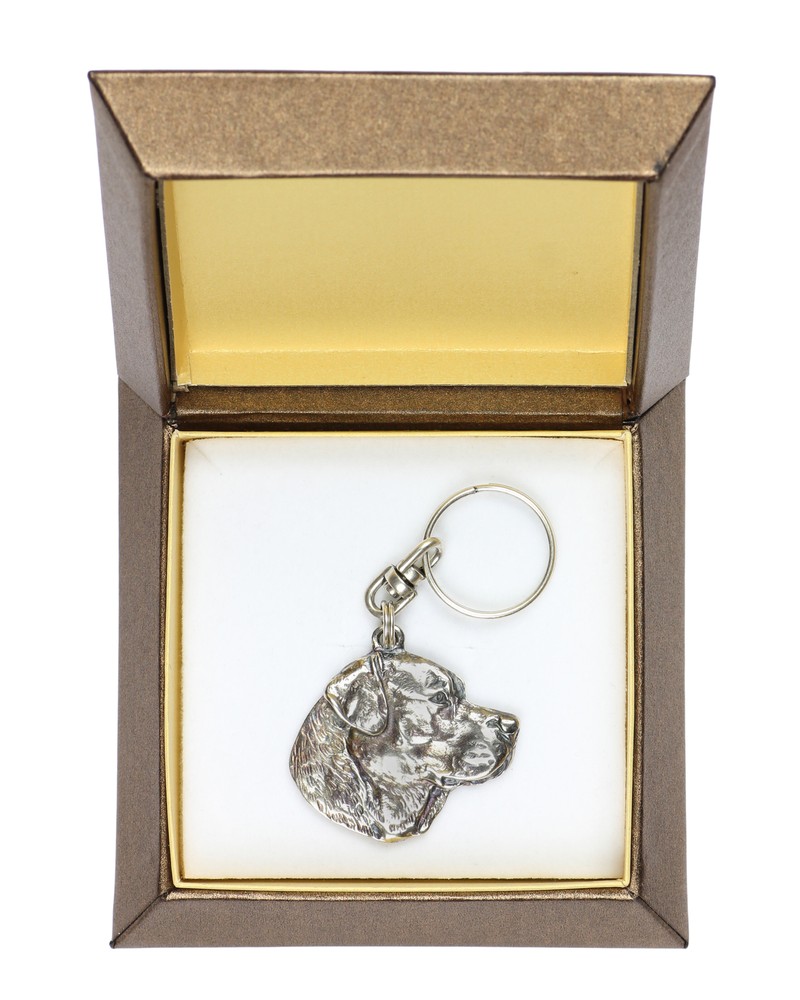 Labrador Retriever - Silver-plated pendant with a dog in a decorative box, handb