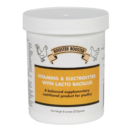 Vitamins & Electrolytes With Lactobacillus For Poultry