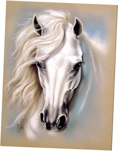 5D Diamond Painting Kit White Horse DIY Art with Rhinestones