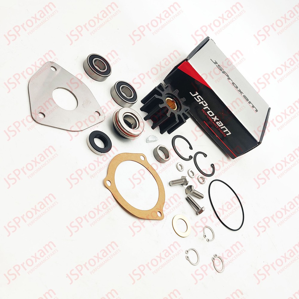 Pump Repair Kit 23979 Repl Sherwood End Wear Plate 12856 Bearing G15 G21 G9901
