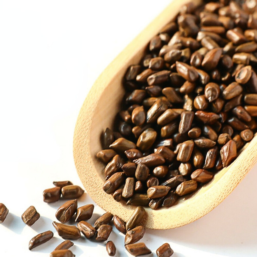 350g Top Cassia Nomame Tea Improve Eyesight Natural Juemingzi Healthy Herbal Tea