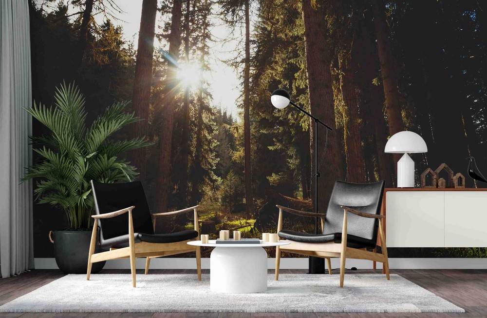 3D Forest Sunlight Landscape Wall Murals Wallpaper Murals Wall Sticker