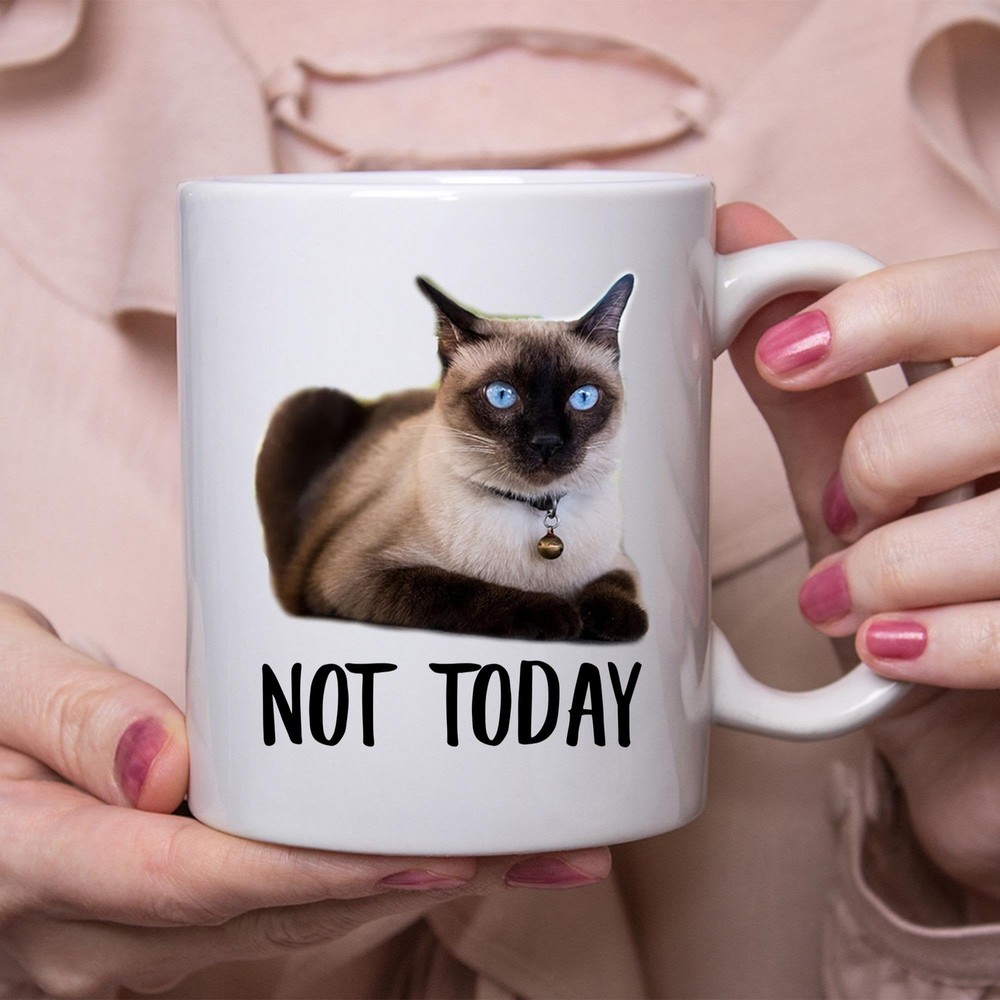 Funny Siamese Cat Tortie Not Today Cat Mug Lazy Gift For Cats Lovers Coffee Mug