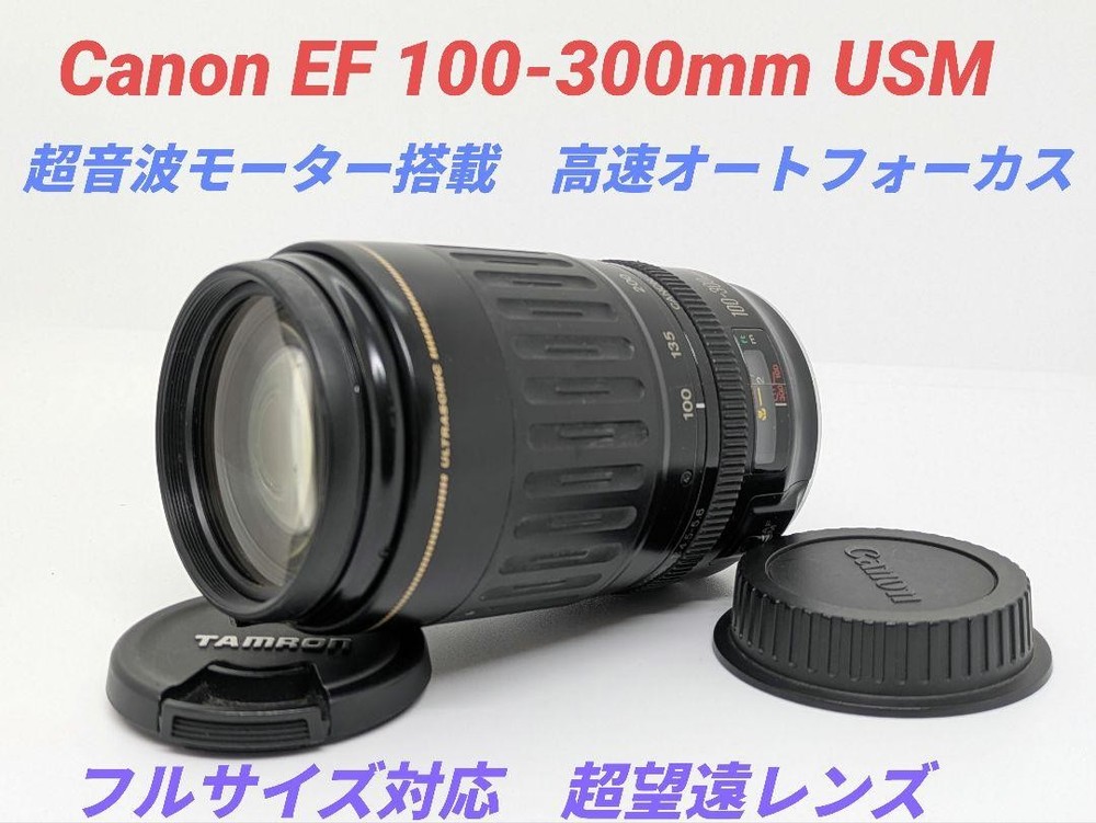 Canon EF 100-300mm USM Super Telephoto Lens Limited May 31