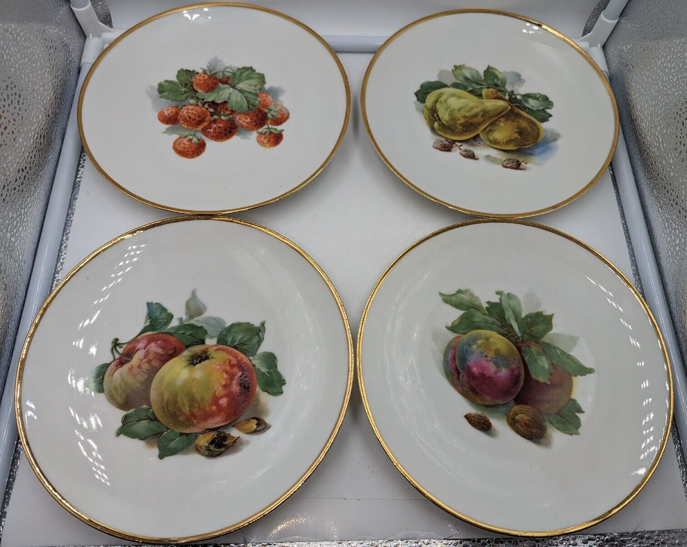 VTG Plankenhammer Floss Bavaria Set of 4 Fruit Design Salad/Dessert Plates 7.75