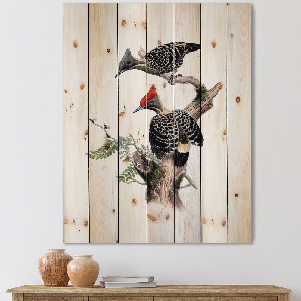 Designart 'Vintage Birds In The Wild VI' Traditional Print