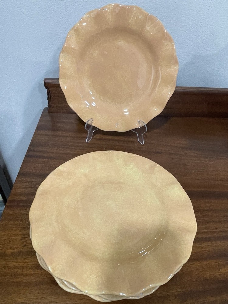 Pfaltzgraff Napoli 4-Piece 9-Inch Ceramic Dinner Plates Hand-Painted Set  