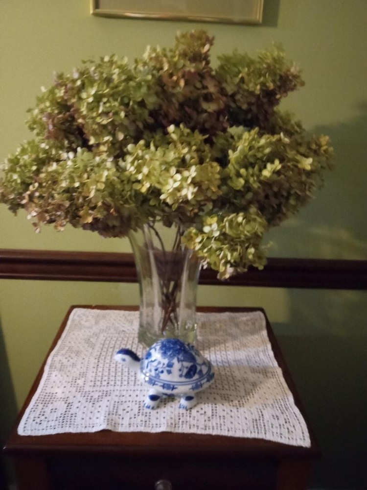 Extra Large Dried Hydrangea  ~ Perfect for Arrangements!