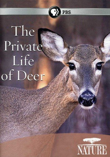 Nature: Private Life of Deer (DVD)