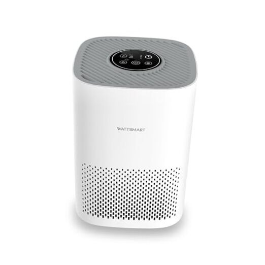 Air Purifier for Home - H13 True HEPA Filter for Pets Hair, Remove 99.97%