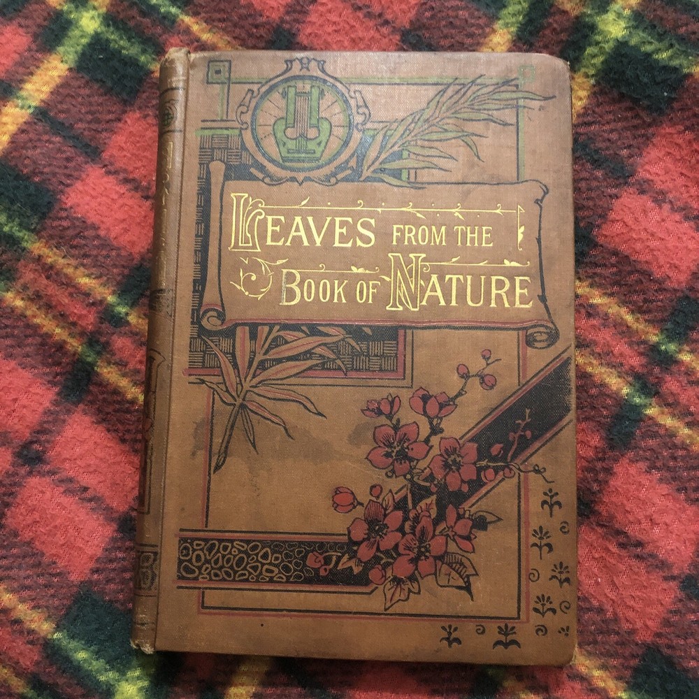 Leaves from the Book of Nature📕M.S De Vere c1850 Beautiful Decoration Embossed