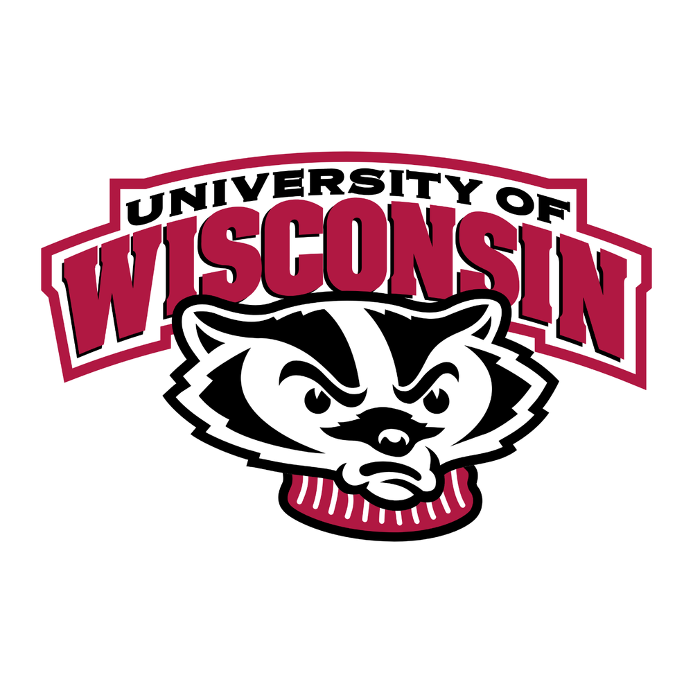 Wisconsin Badgers NCAA Weather Resistant Vinyl Die Cut Sticker Decal 03