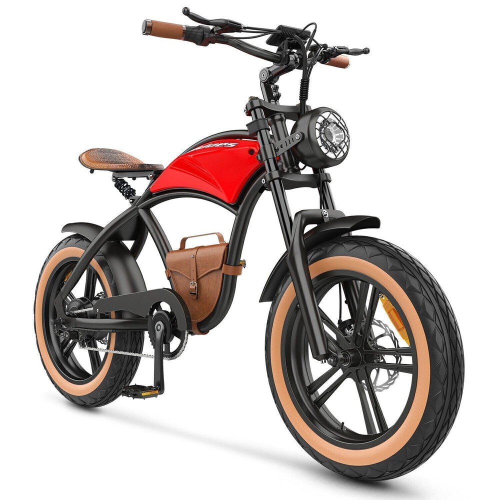Hidoes 1OOOW 48V/12.5AH Electric Bike Adult Mountain e bike 20