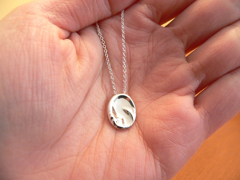 Tiffany & Co Silver Peretti Capricorn Zodiac Necklace Pendant Chain Gift Love