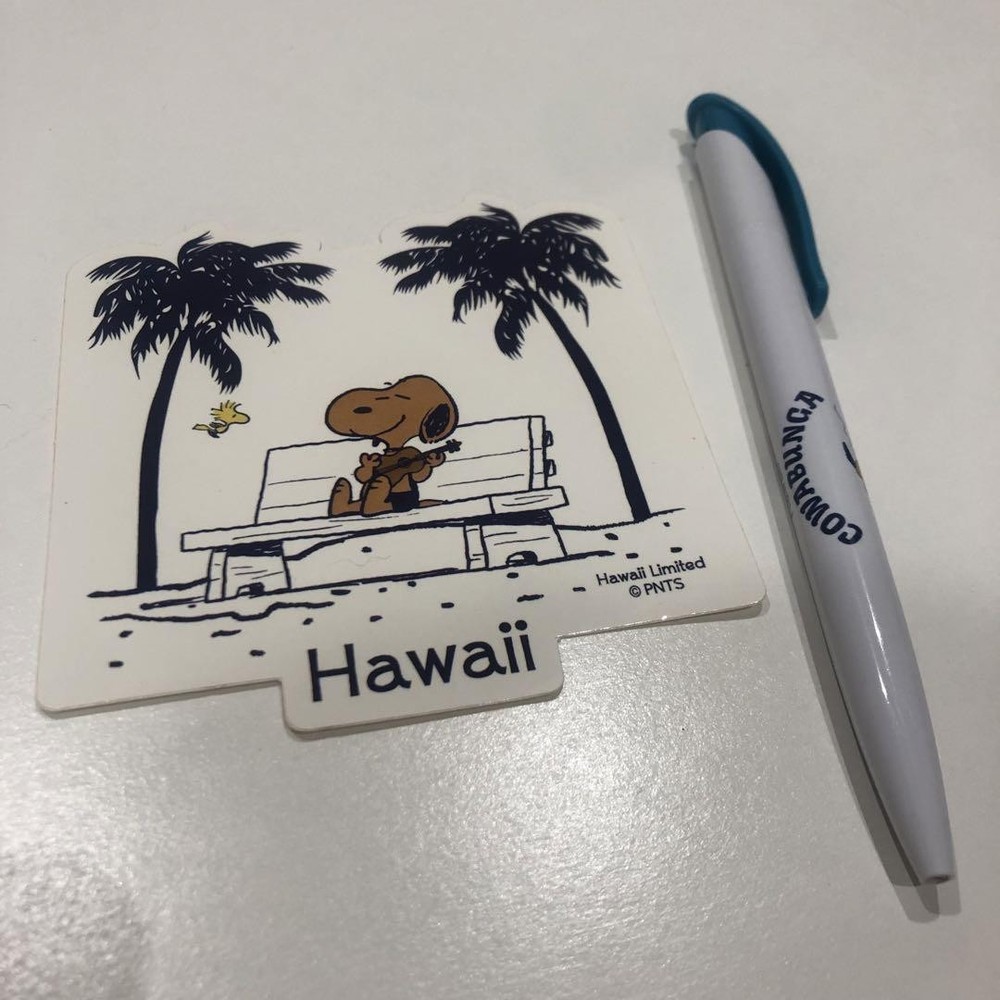 Hawaii-themed Snoopy stationery set with tropical designs