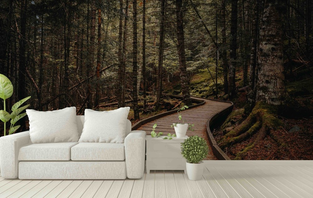 3D Forest Path Landscape Wall Murals Wallpaper Murals Wall Sticker