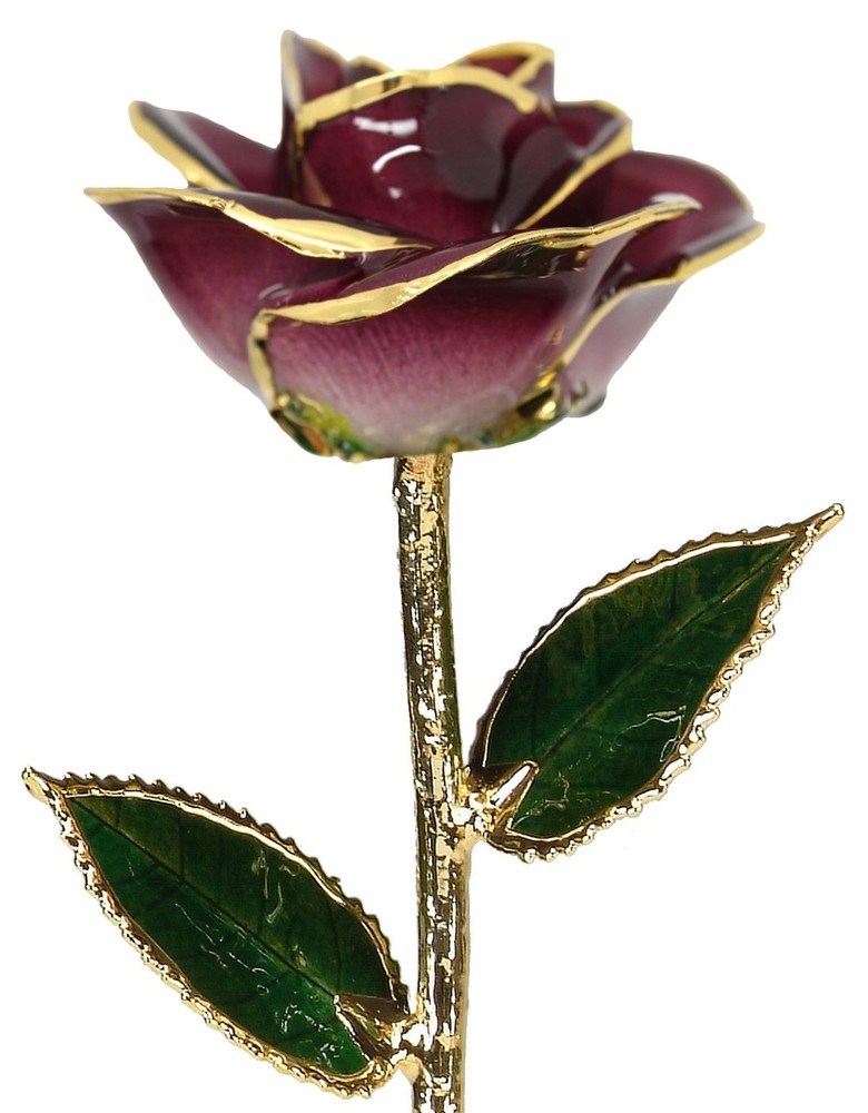 2-Tone Burgundy 24k Gold Trim Real Rose