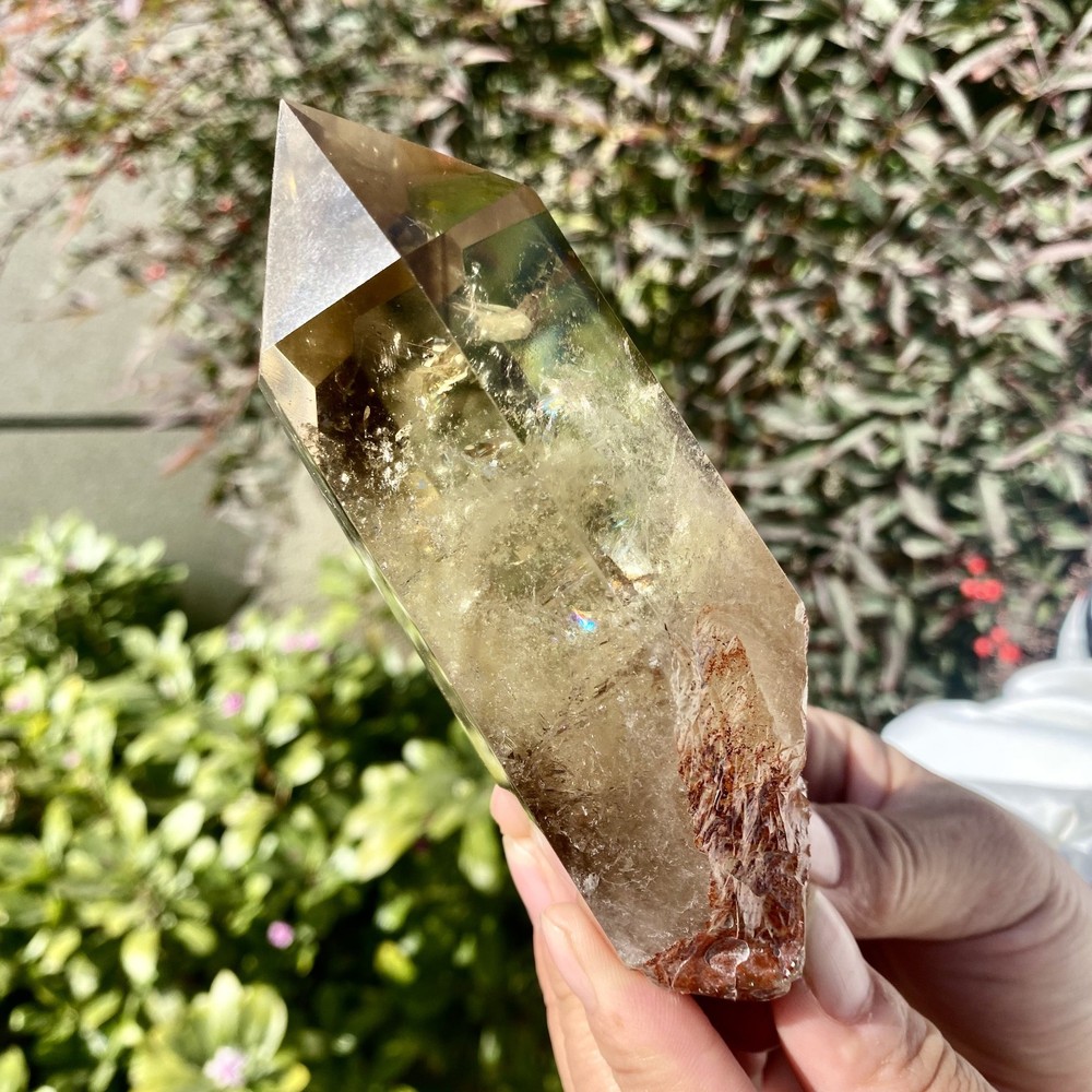 376G Natural Citrine backbone cluster mineral specimen quartz crystal healing-