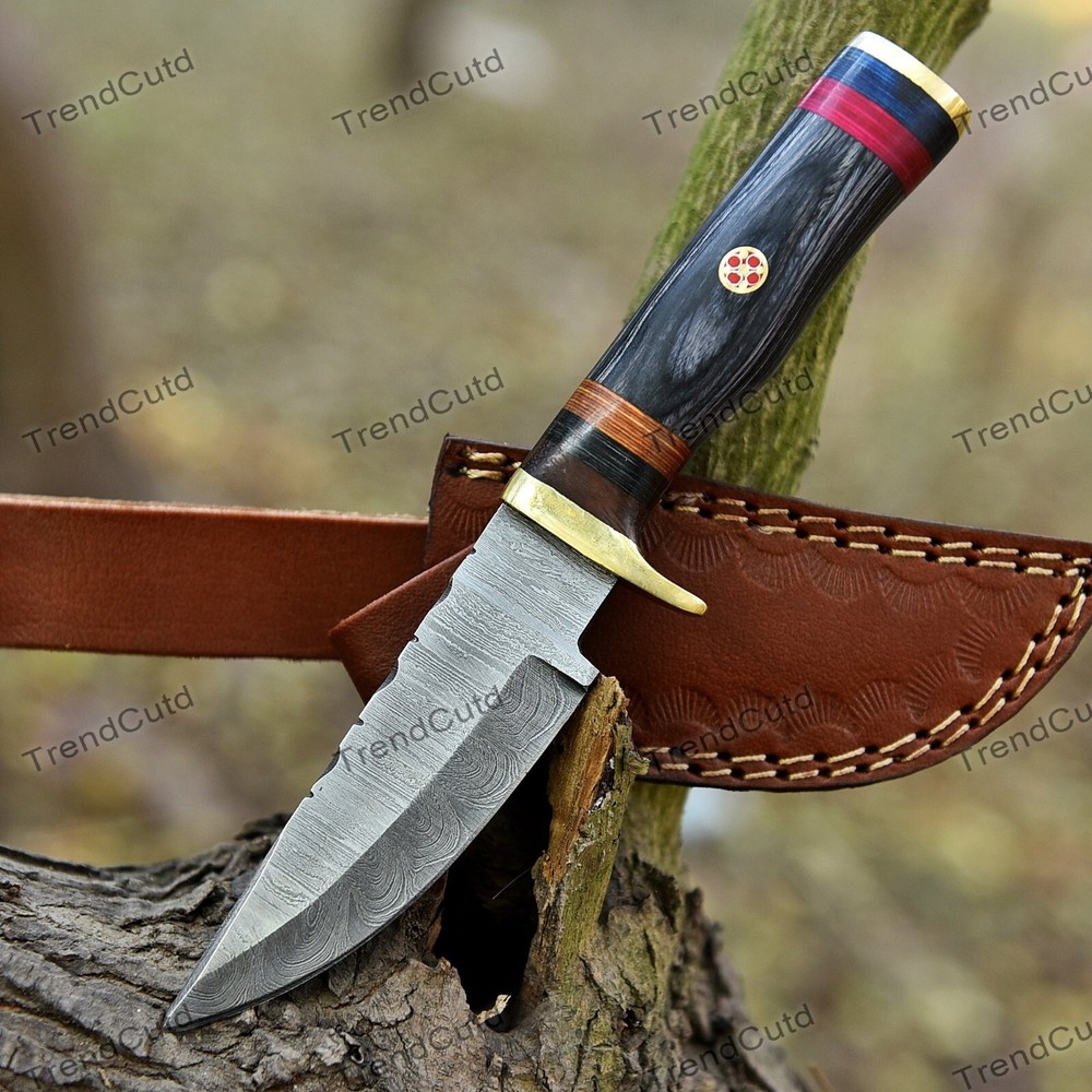 Custom Damascus Steel Fixed Blade Skinner Hunting Knife Handcrafted ha17
