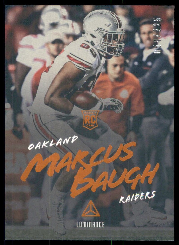 2018 Panini Luminance Orange #166 Marcus Baugh /225