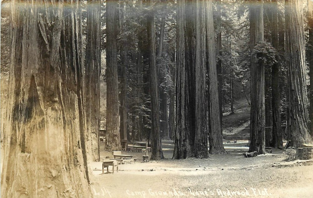 1940s Redwood Hwy California Humboldt Lanes Camp Ground Postcard RPPC 24-12251