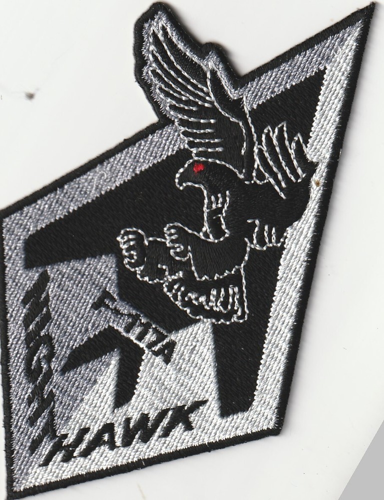 USAF air force F-117A Nighthawk patch