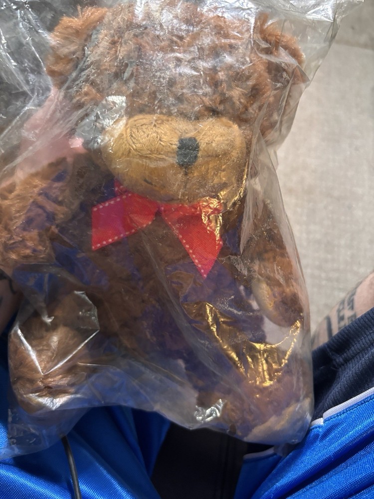 Vintage Teddy Bear Plush