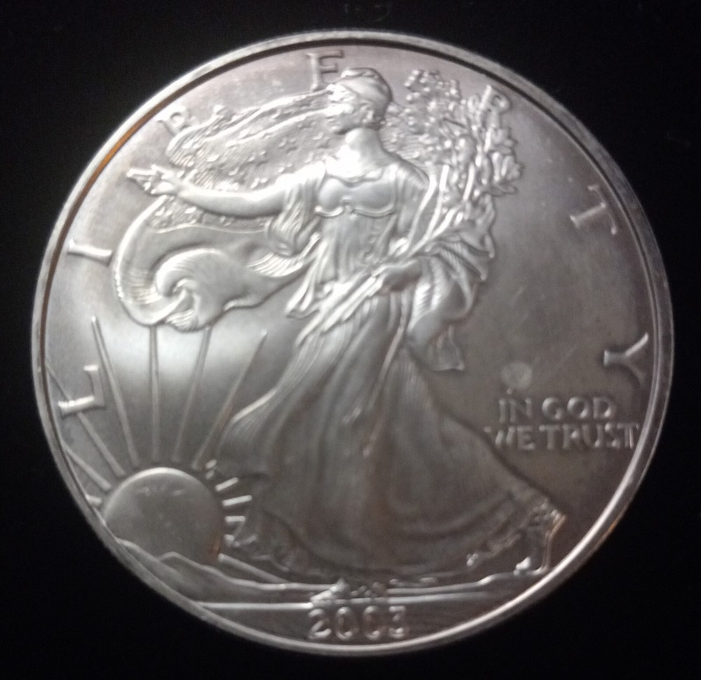 2003 $1 Silver coin Lady Liberty Uncirculated
