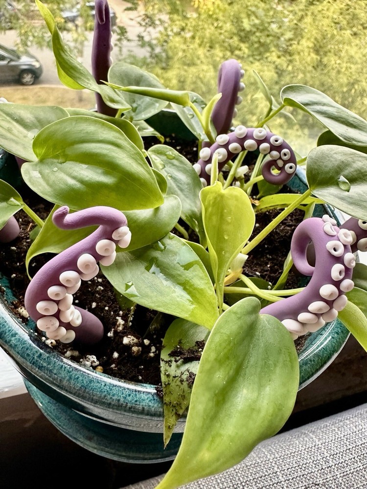 PURPLE Sea Creature Tentacles Plants Decor Plant Friend, Spring Octopus