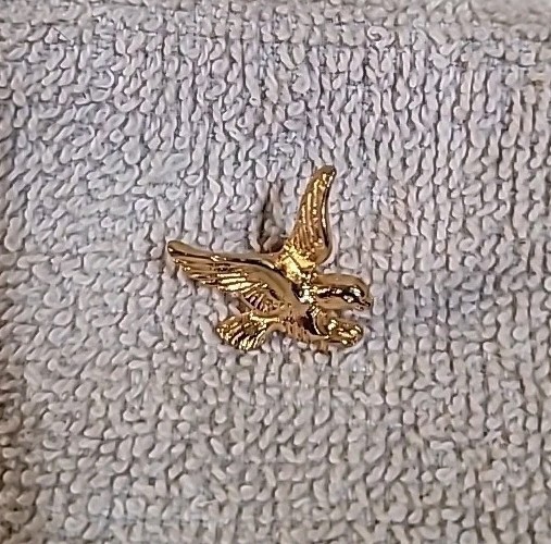 Vintage Gold-Tone Eagle Hat Pin for Stylish Accessories